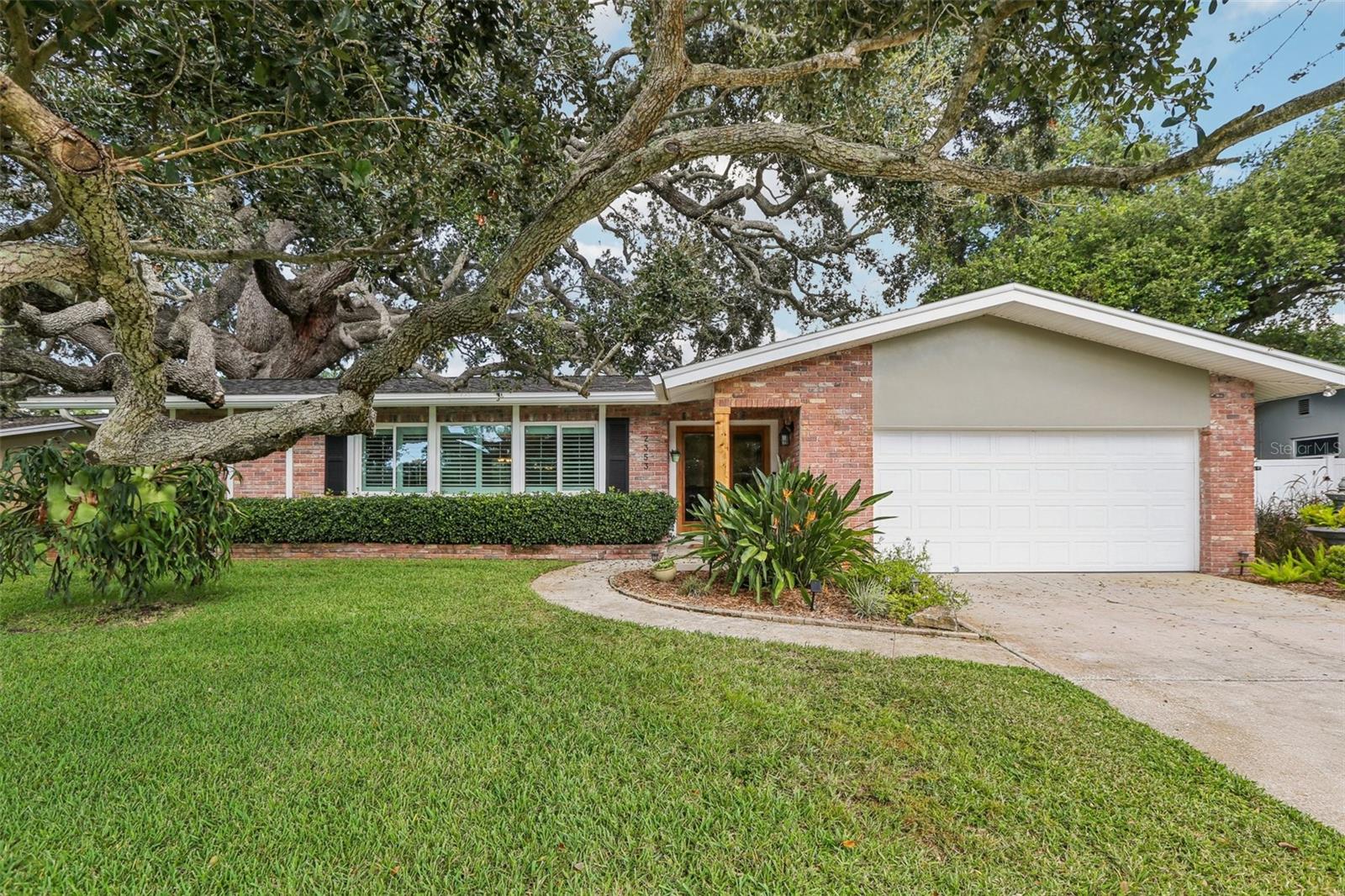 Details for 2353 Demaret Drive, DUNEDIN, FL 34698