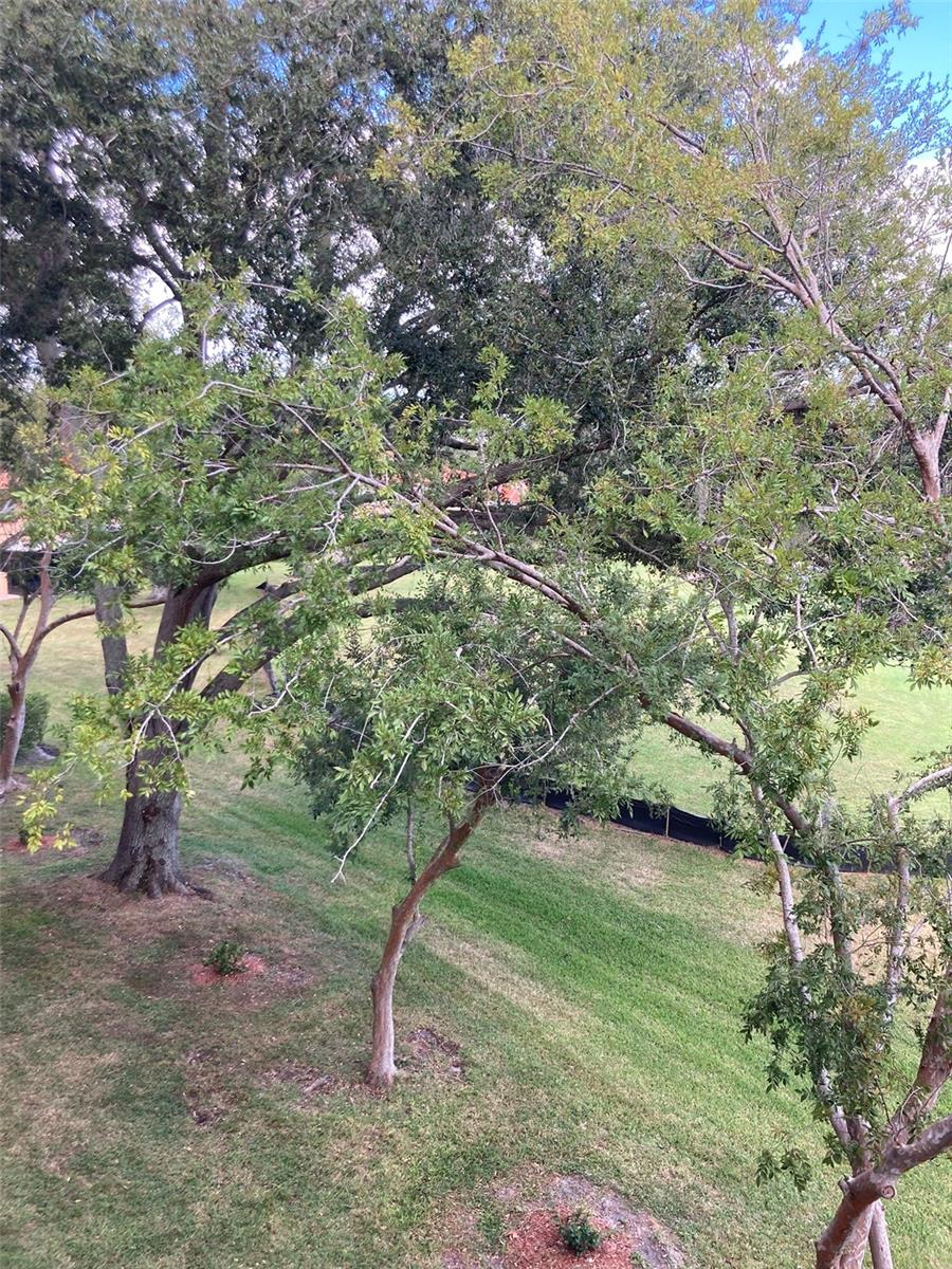 Image 10 of 50 For 8174 Terrace Garden Drive N 307