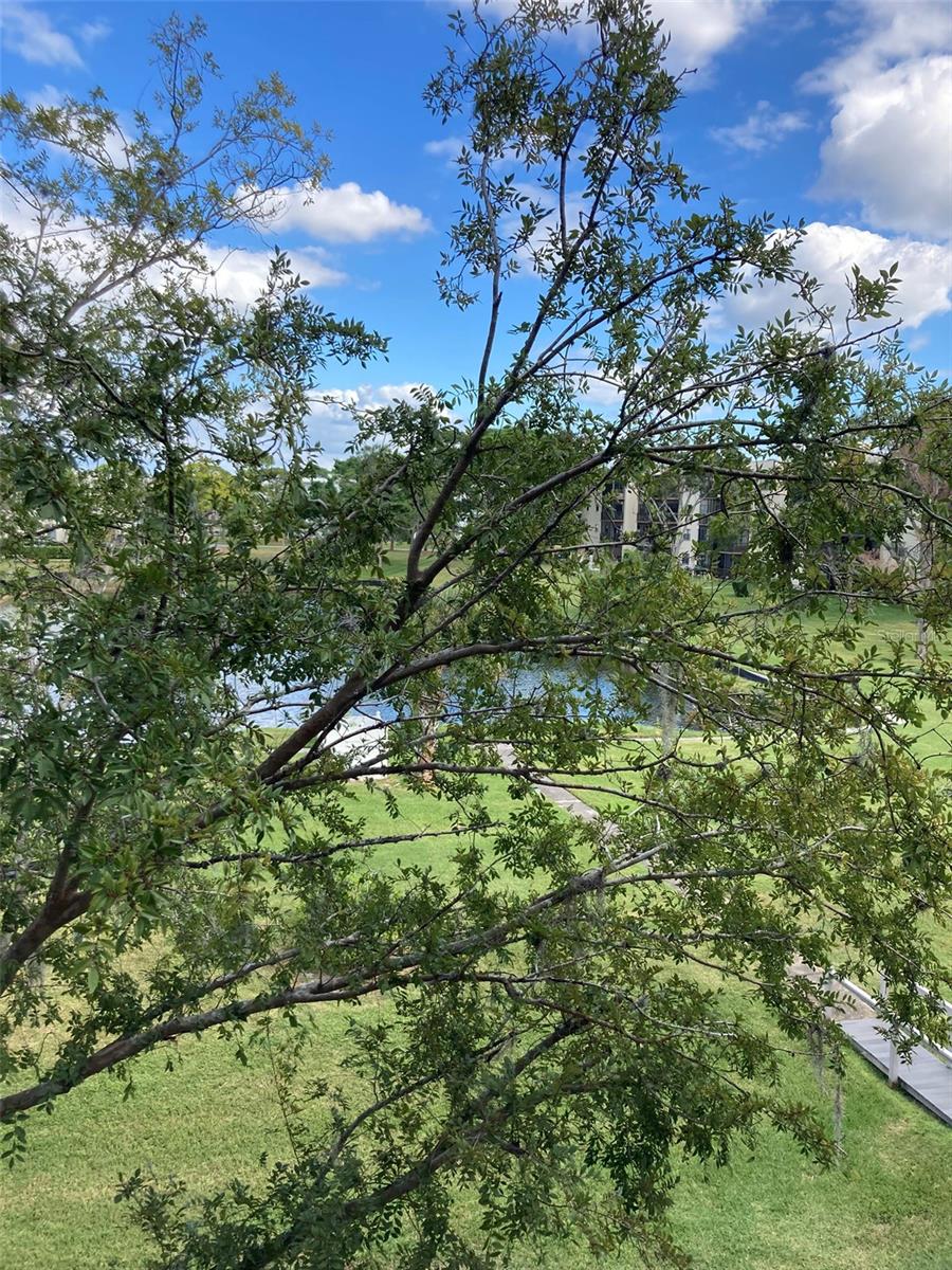 Image 9 of 50 For 8174 Terrace Garden Drive N 307