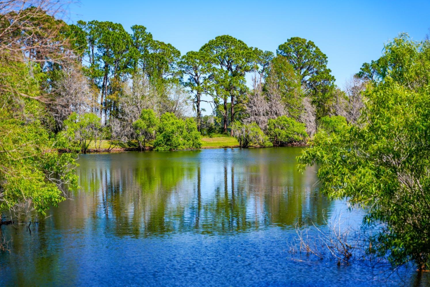 Image 56 of 64 For 301 New Providence