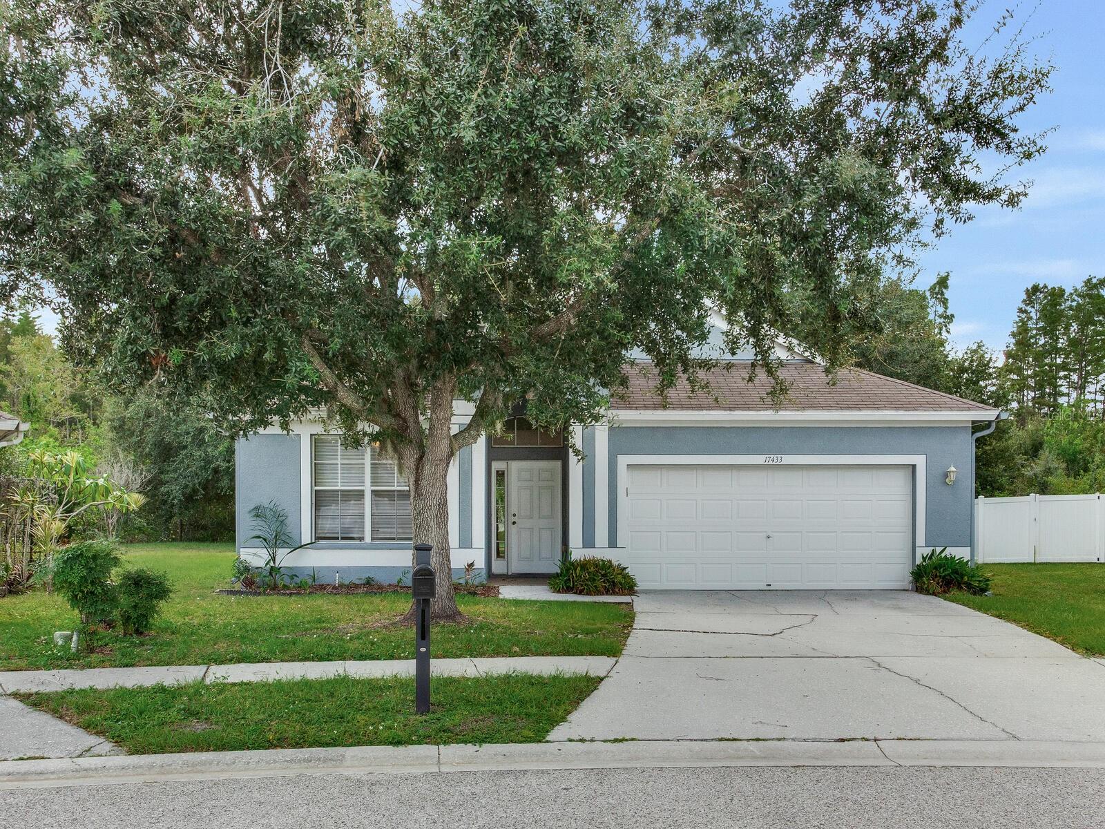 Details for 17433 Lawn Orchid Loop, LAND O LAKES, FL 34638