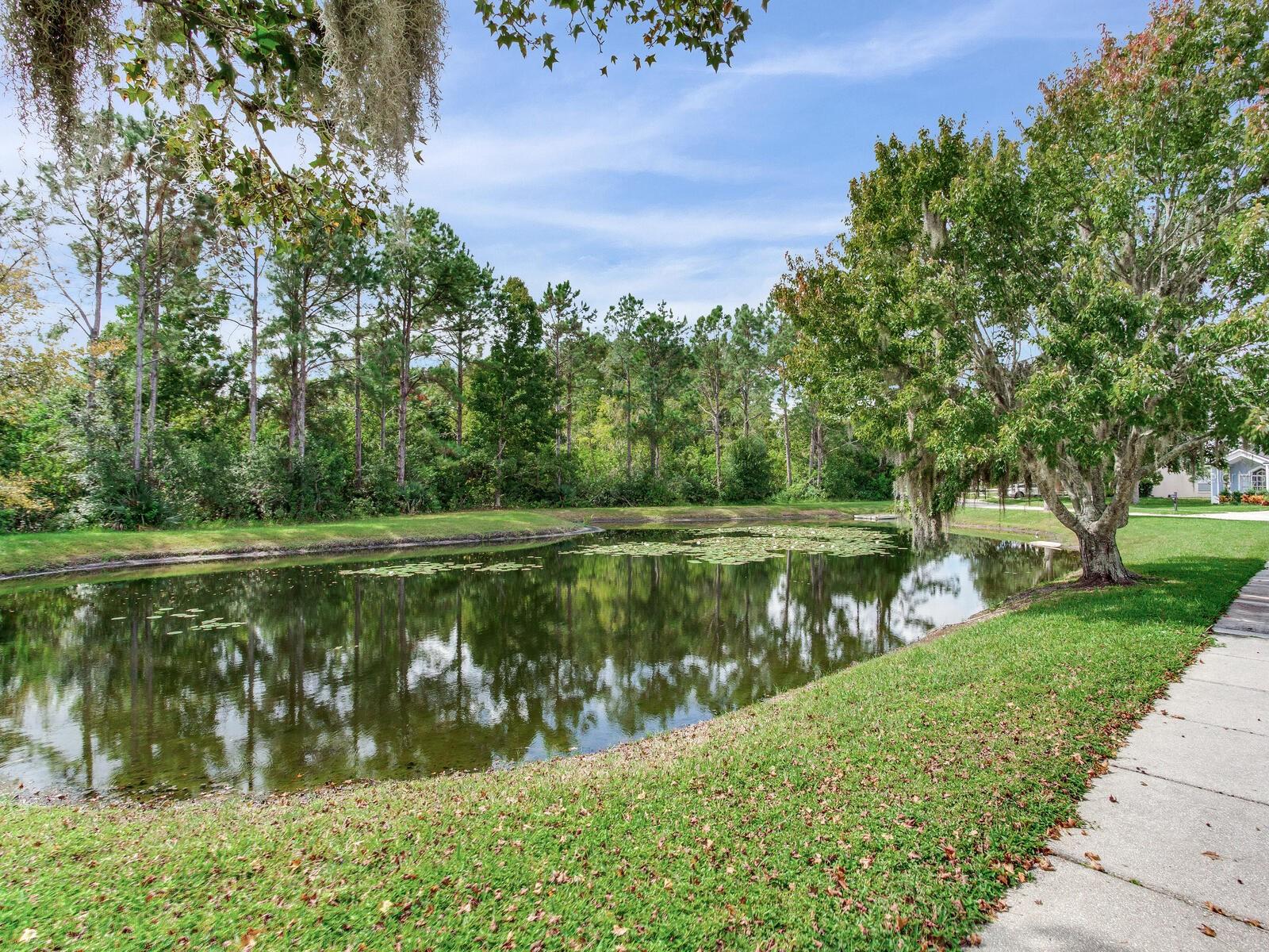 Image 40 of 41 For 17433 Lawn Orchid Loop