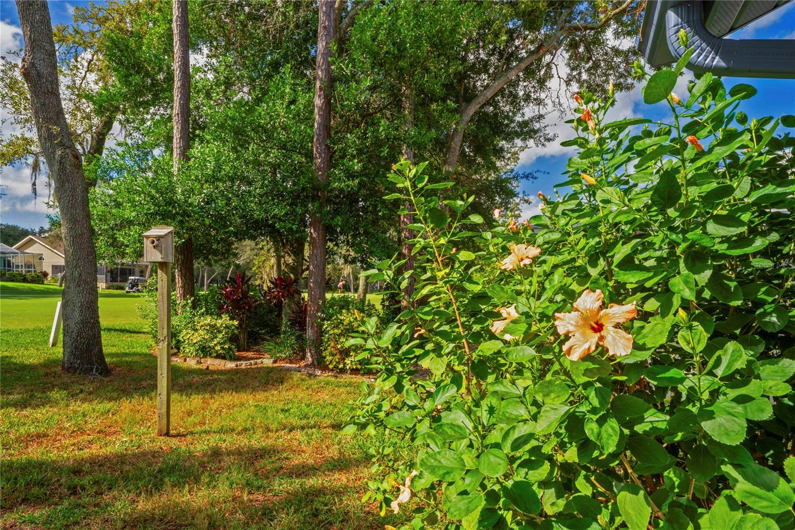 Image 42 of 66 For 7112 Green Abbey Way