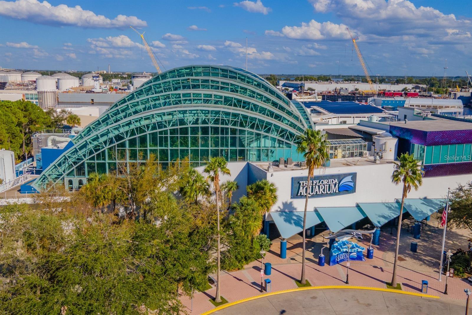 Image 56 of 60 For 205 Westland Avenue