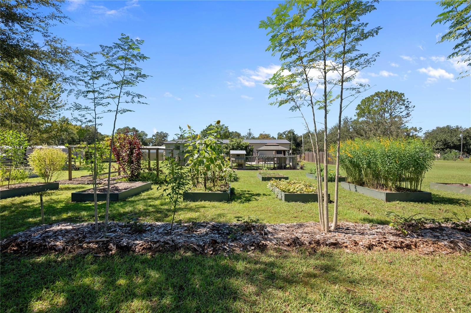 Image 42 of 84 For 2083 Sr 50  
