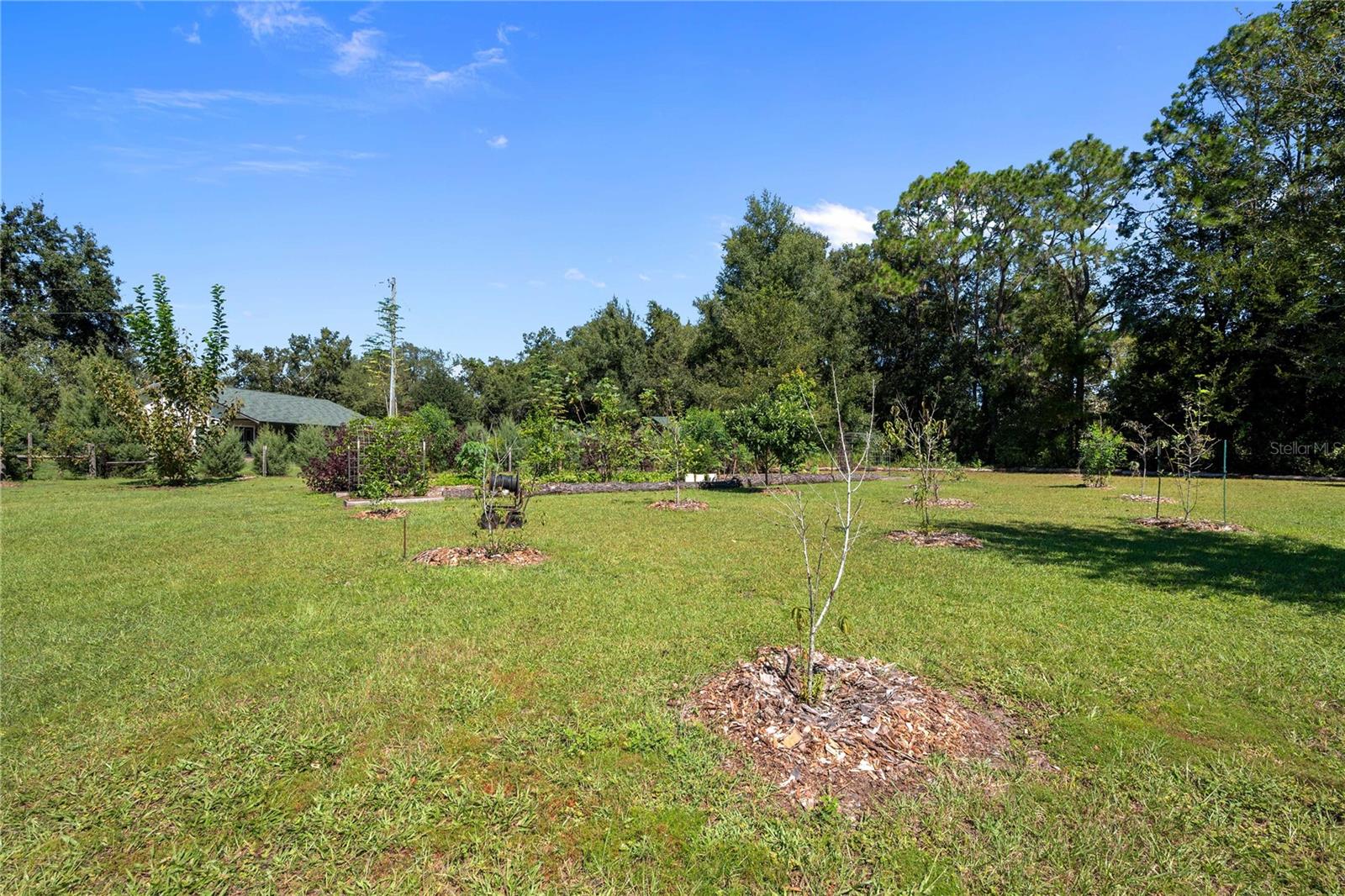 Image 45 of 84 For 2083 Sr 50  