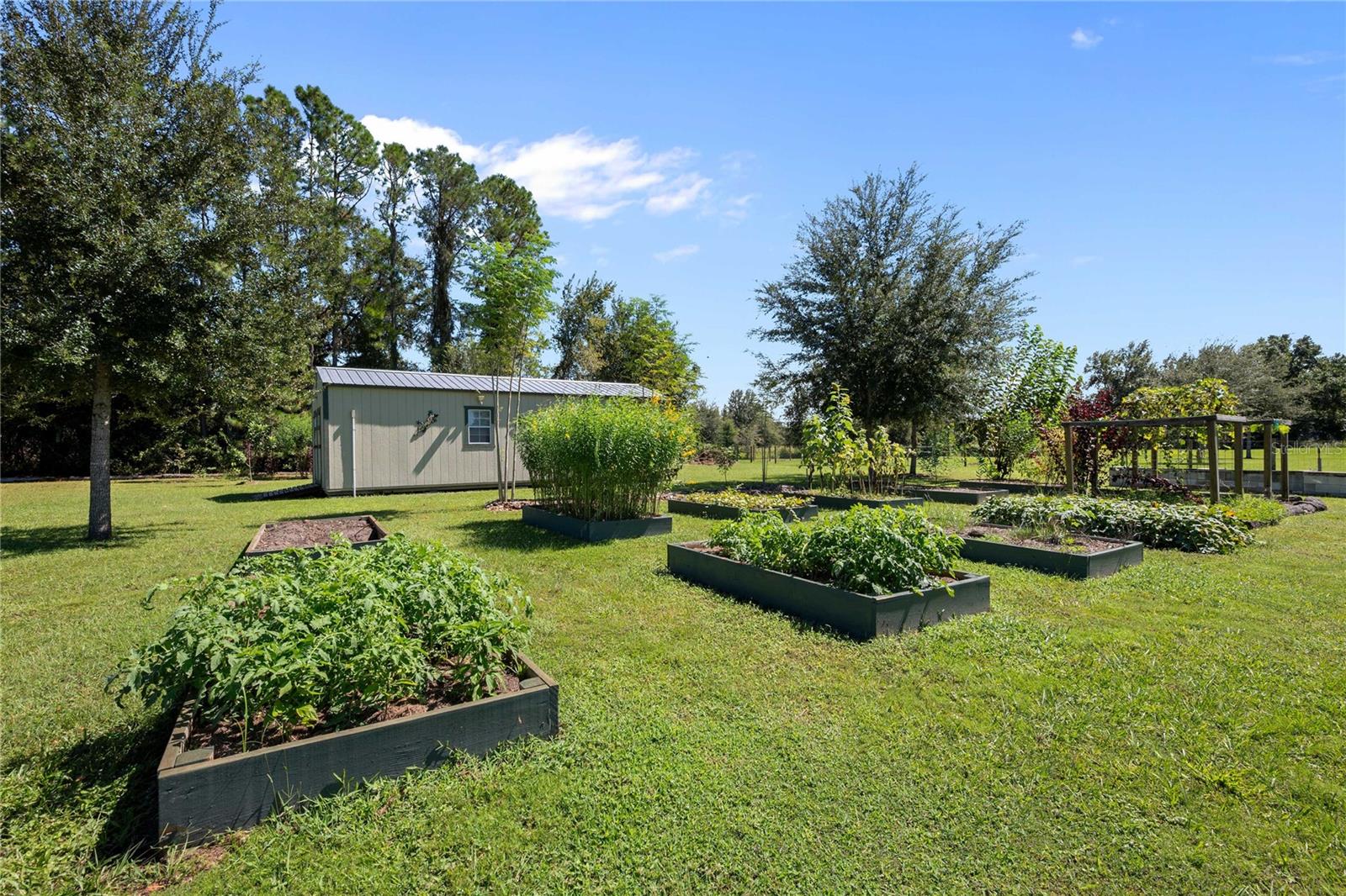 Image 46 of 84 For 2083 Sr 50  