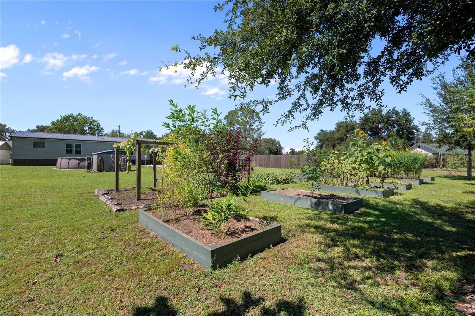Image 63 of 84 For 2083 Sr 50  