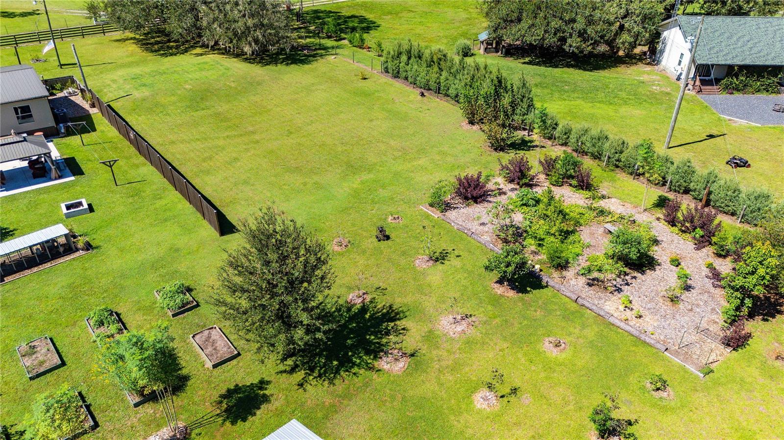 Image 74 of 84 For 2083 Sr 50  