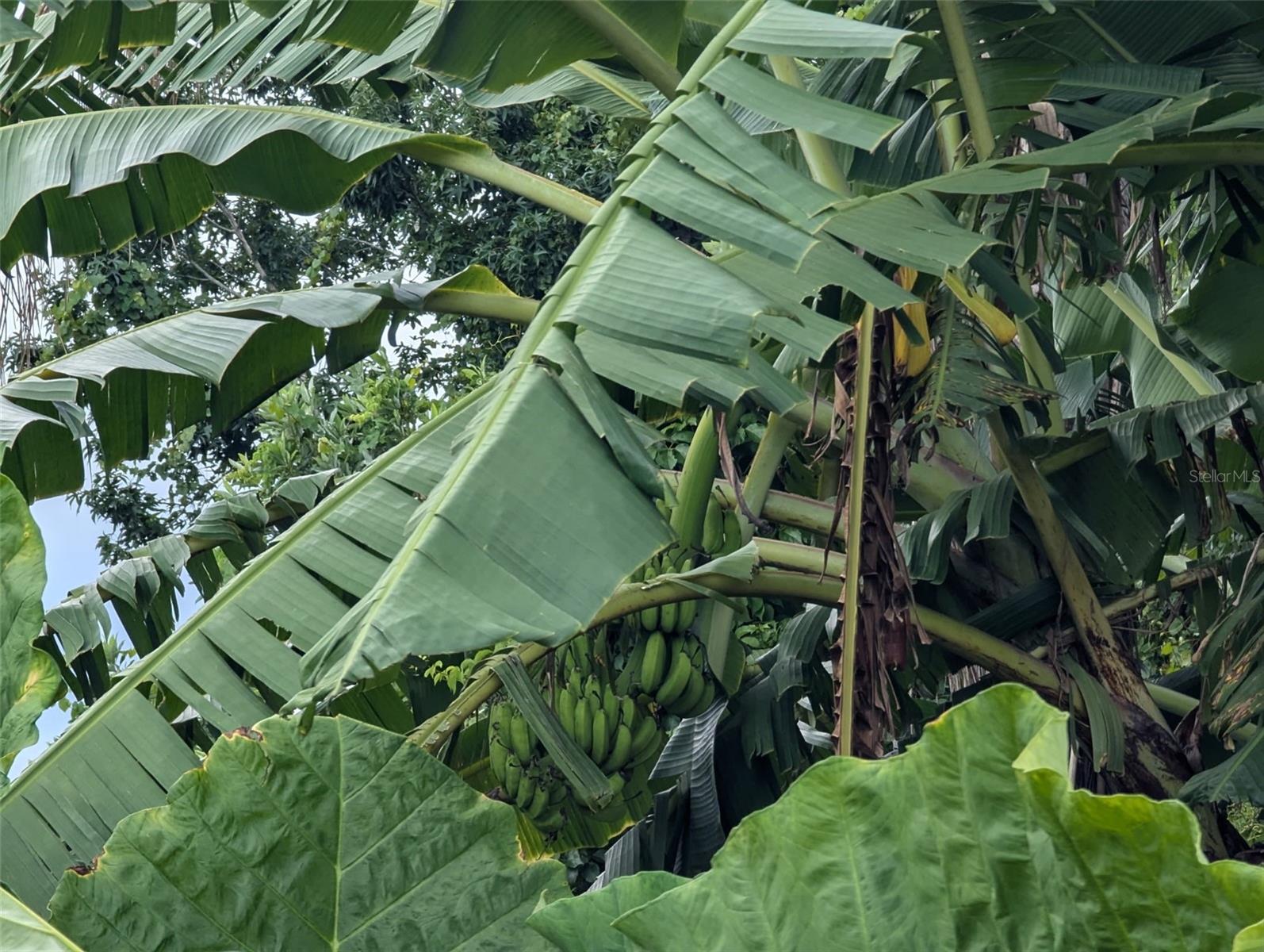 Image 5 of 7 For Xxxx Old Bradenton Road