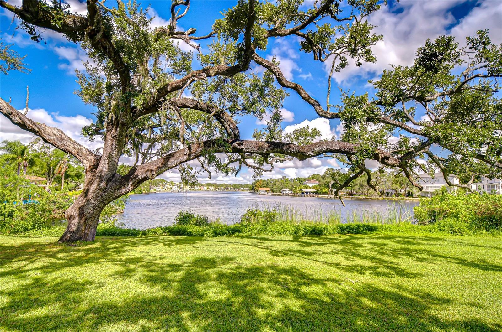 Details for 3230 Rome Avenue, TAMPA, FL 33607