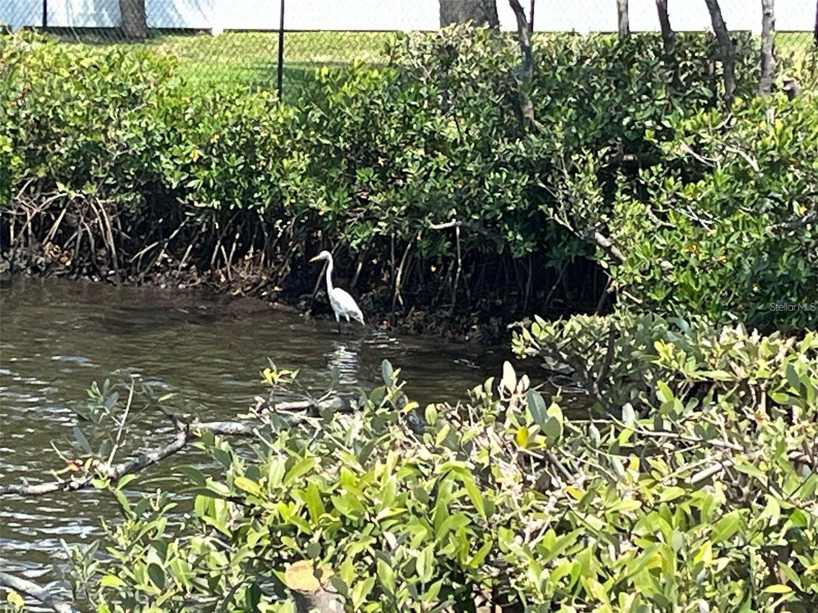 Image 38 of 46 For 4901 Onyx Lane 204