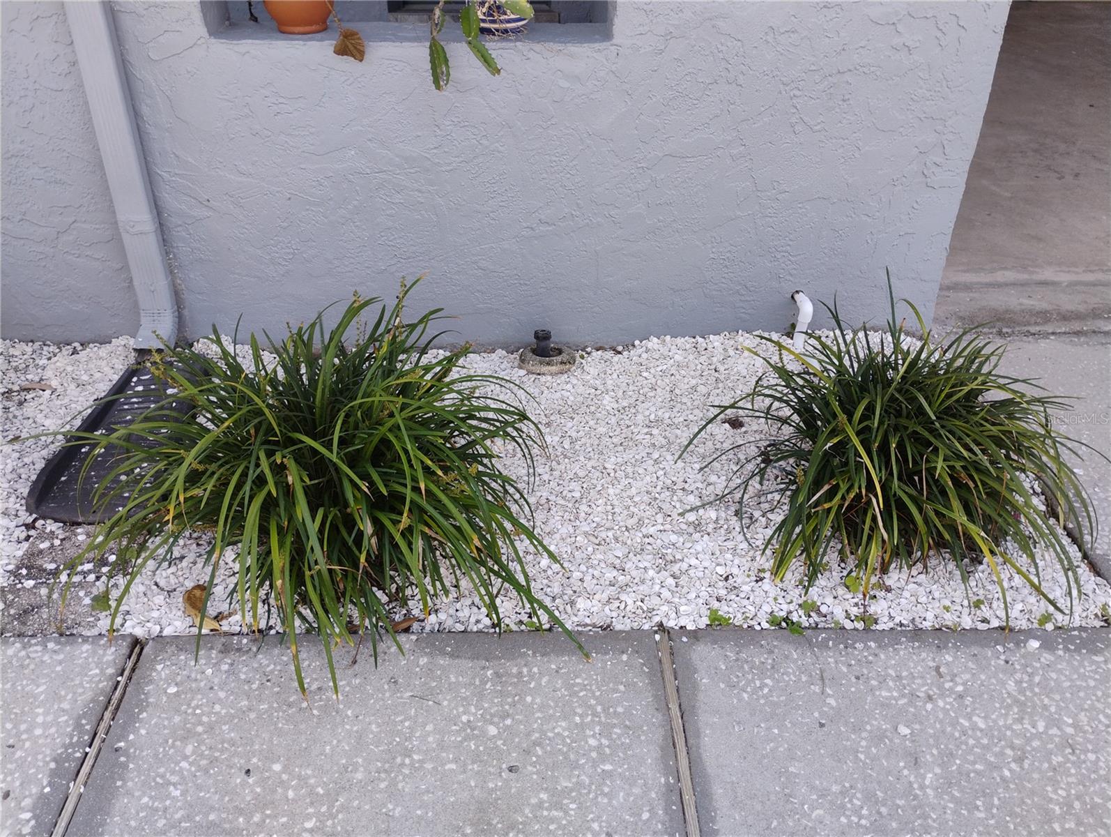 Image 65 of 68 For 2256 Colonial Boulevard W