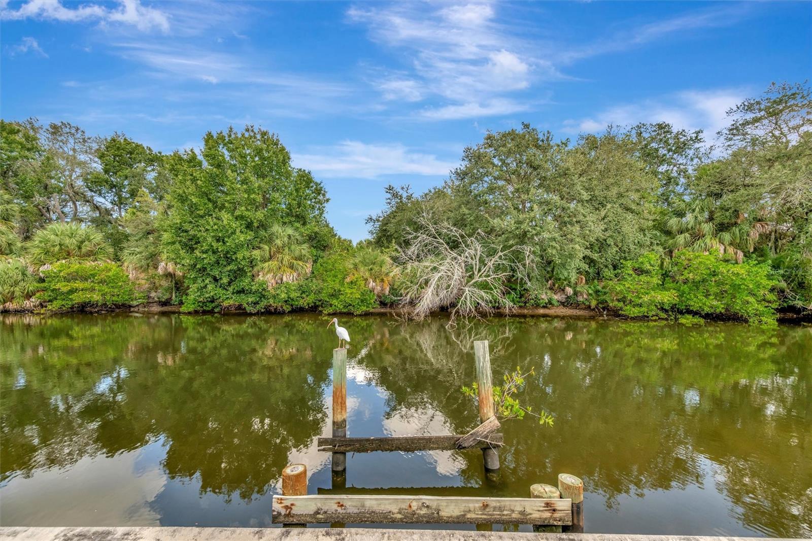 Image 7 of 44 For 236 Saint Thomas Circle