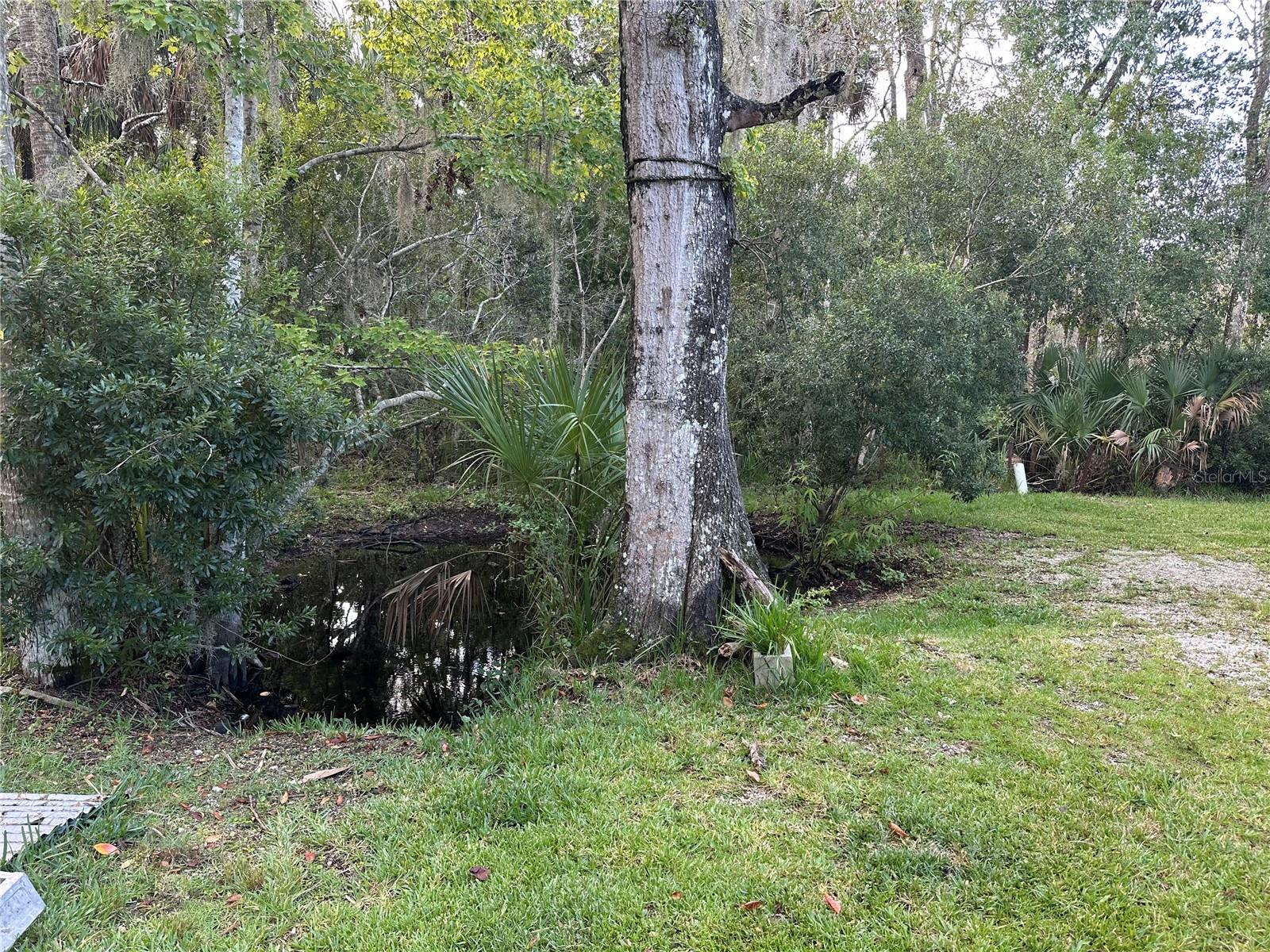 Image 14 of 21 For 237 Candle Point