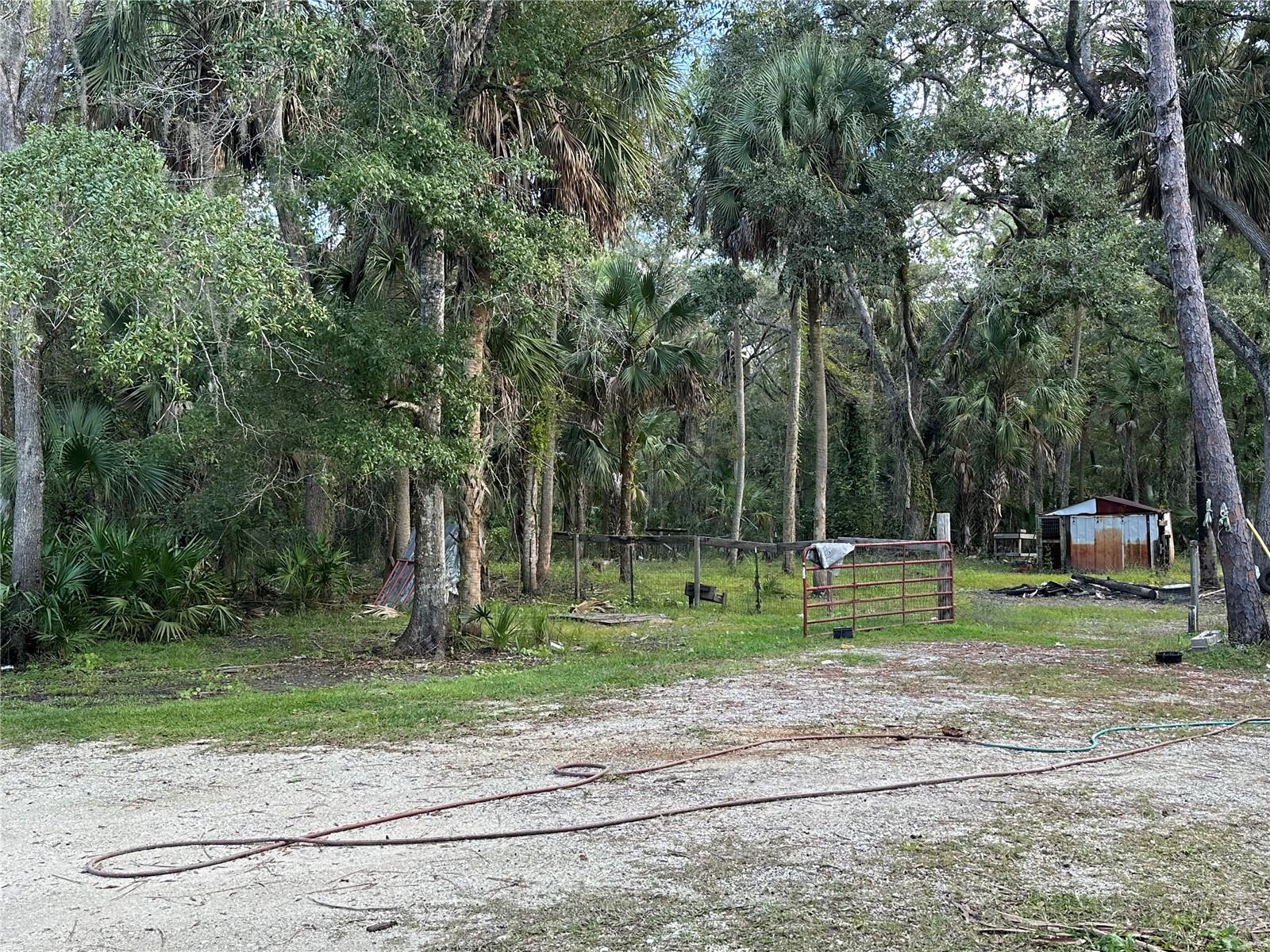 Image 16 of 21 For 237 Candle Point