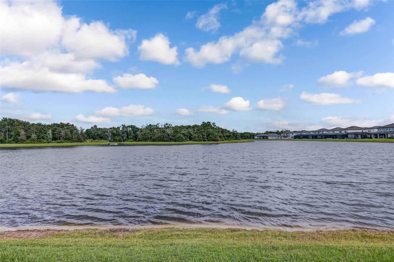 Image 3 of 73 For 13016 Willow Grove Drive