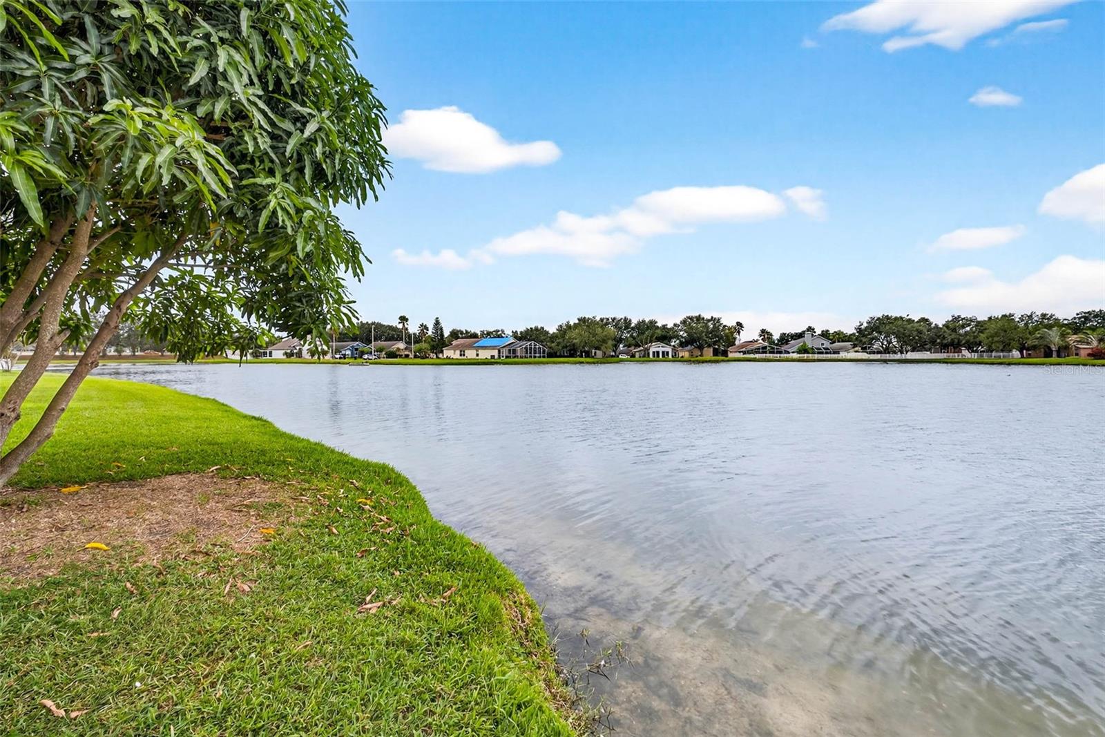 Image 36 of 64 For 9242 Estate Cove Circle