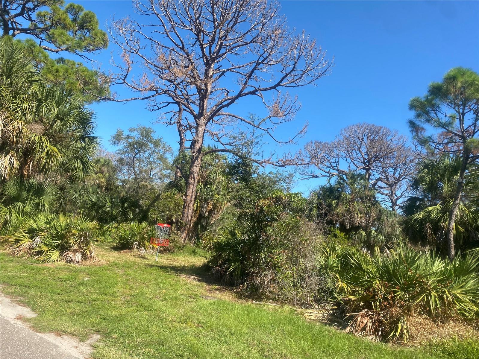 Image 78 of 89 For 7100 Sunshine Skyway Lane S 906