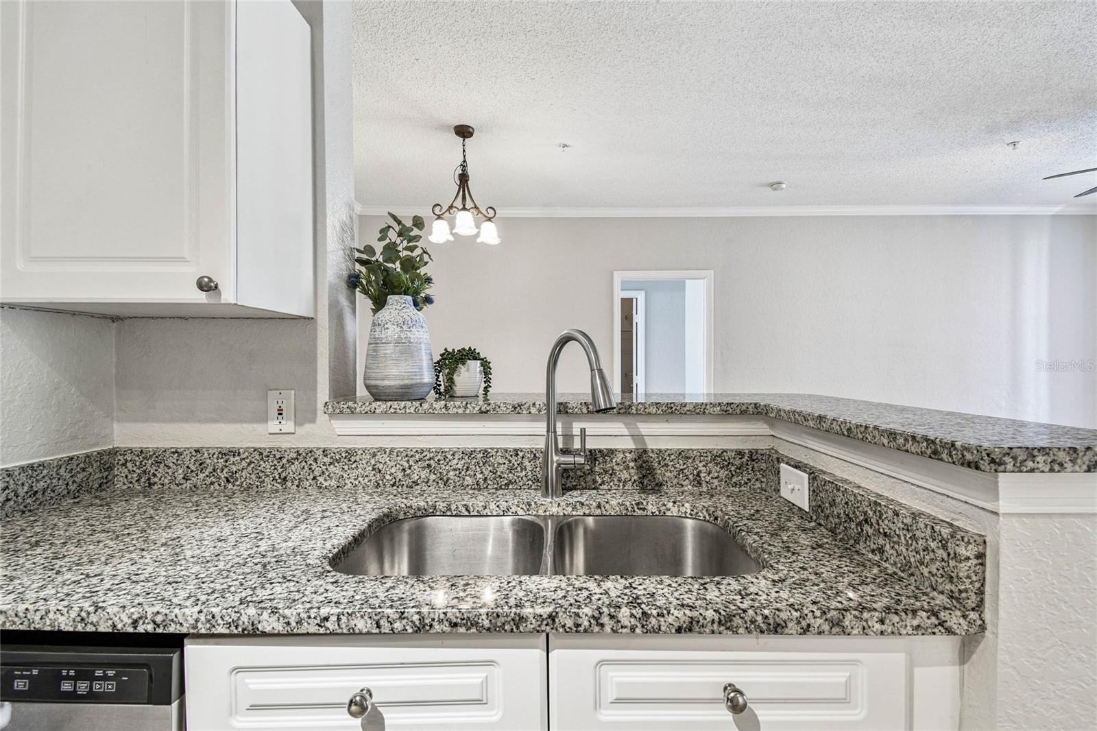 Image 15 of 60 For 18001 Richmond Place Drive 1223