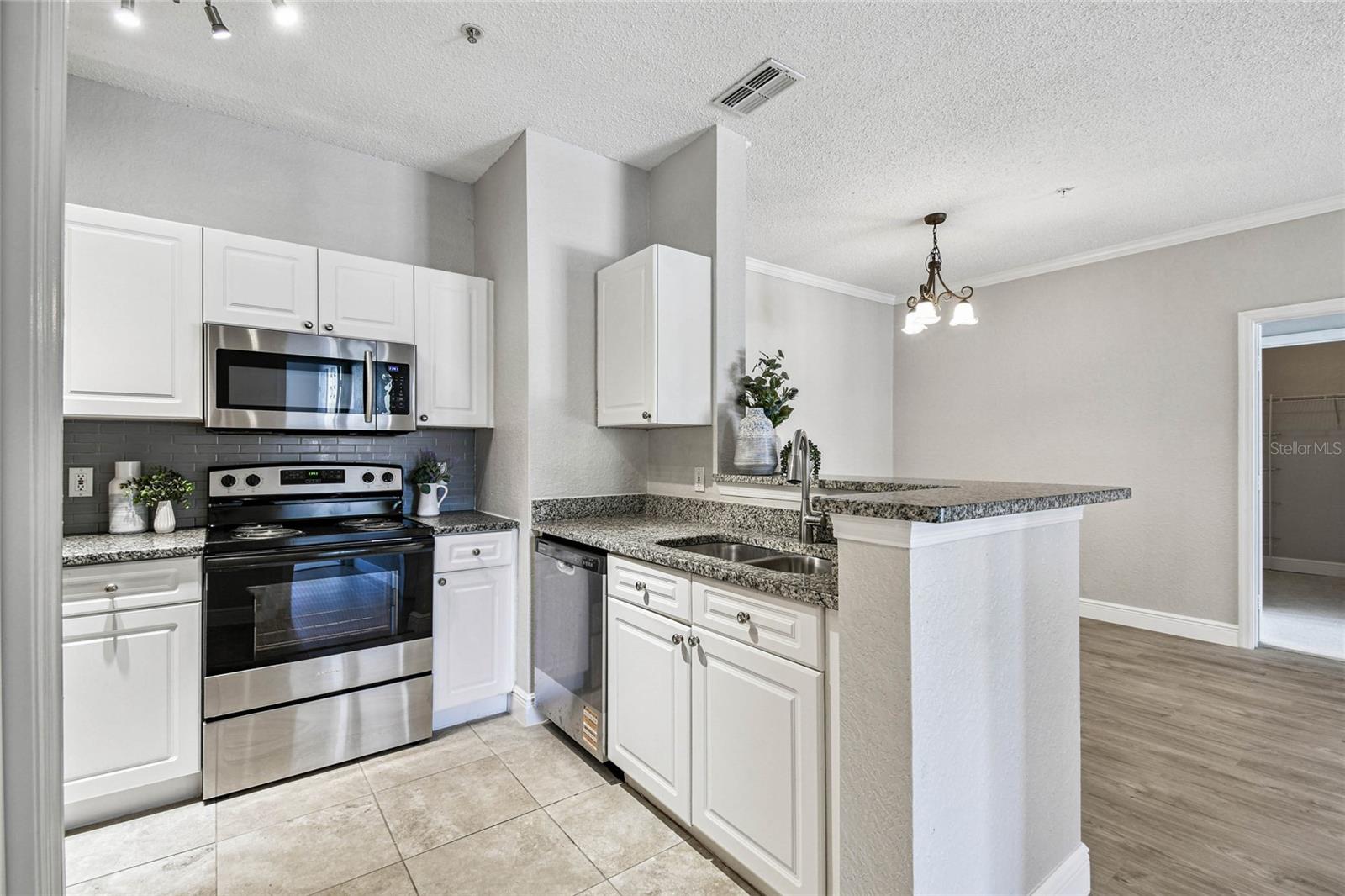 Image 9 of 60 For 18001 Richmond Place Drive 1223