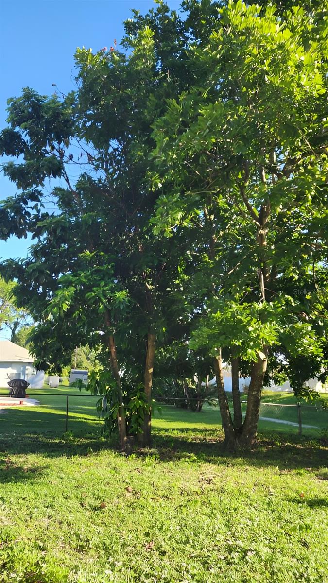 Image 24 of 36 For Address Not Provided