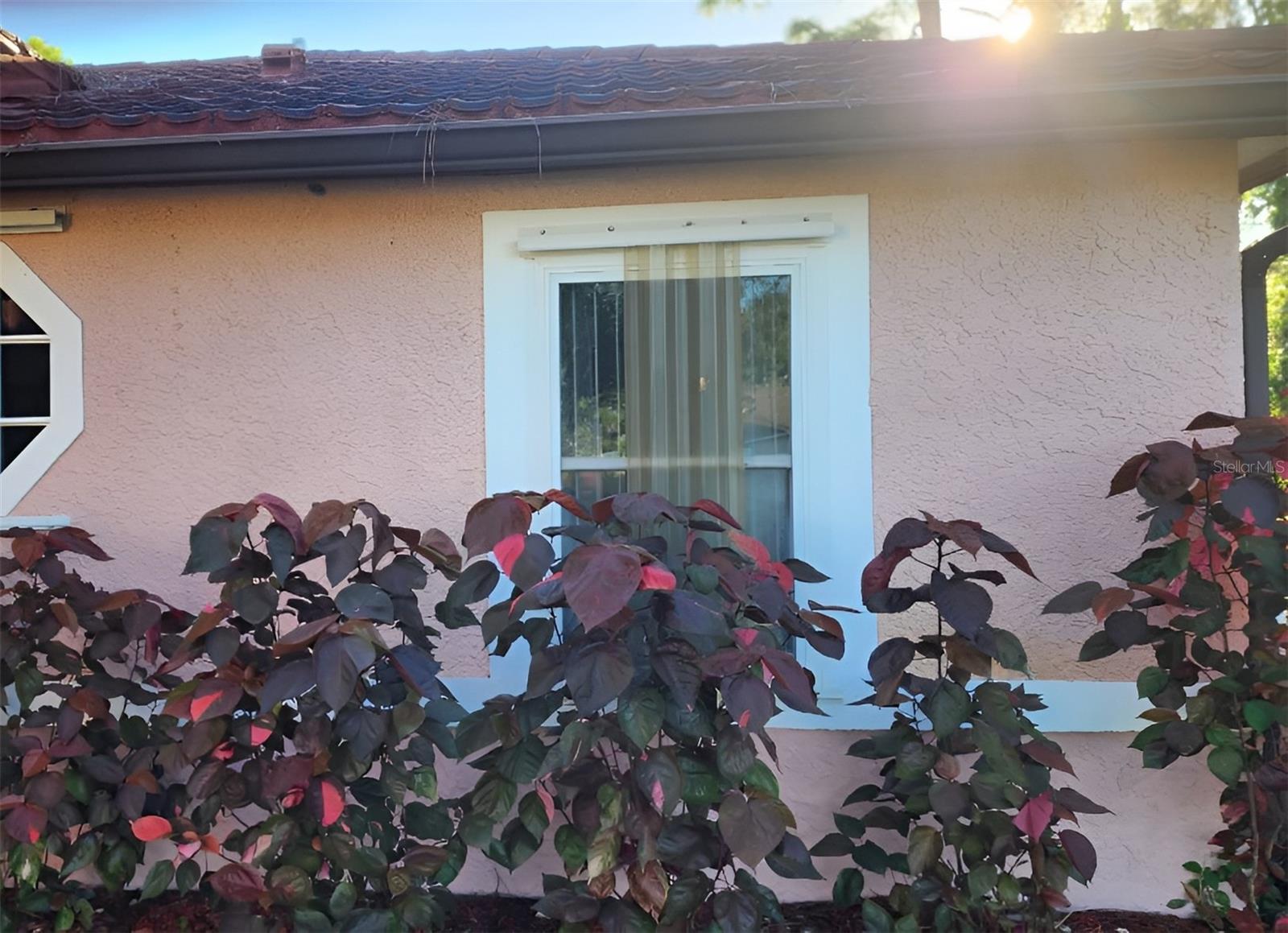 Image 29 of 36 For Address Not Provided