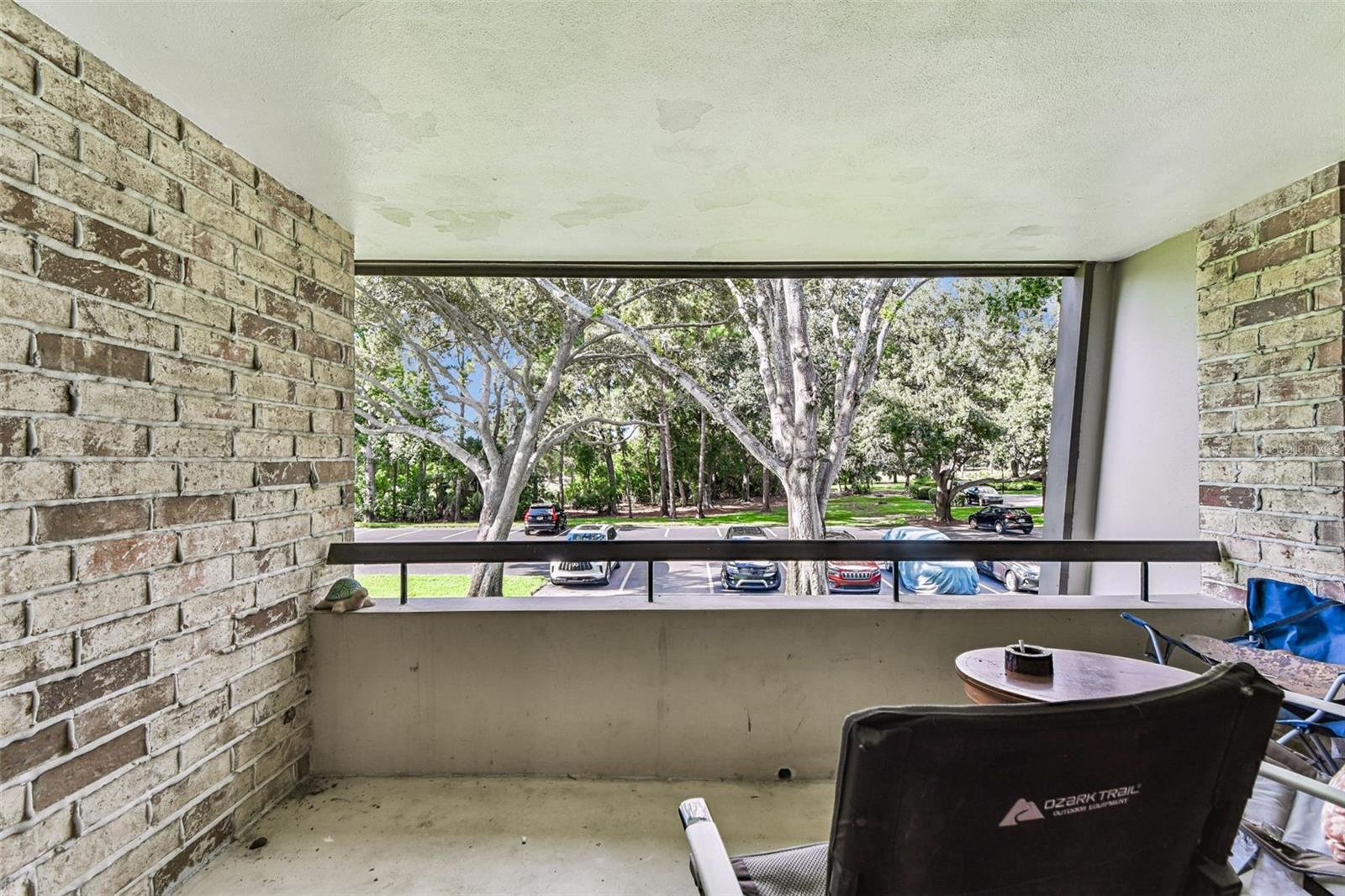 Image 33 of 65 For 36750 Us Highway 19 N 17210