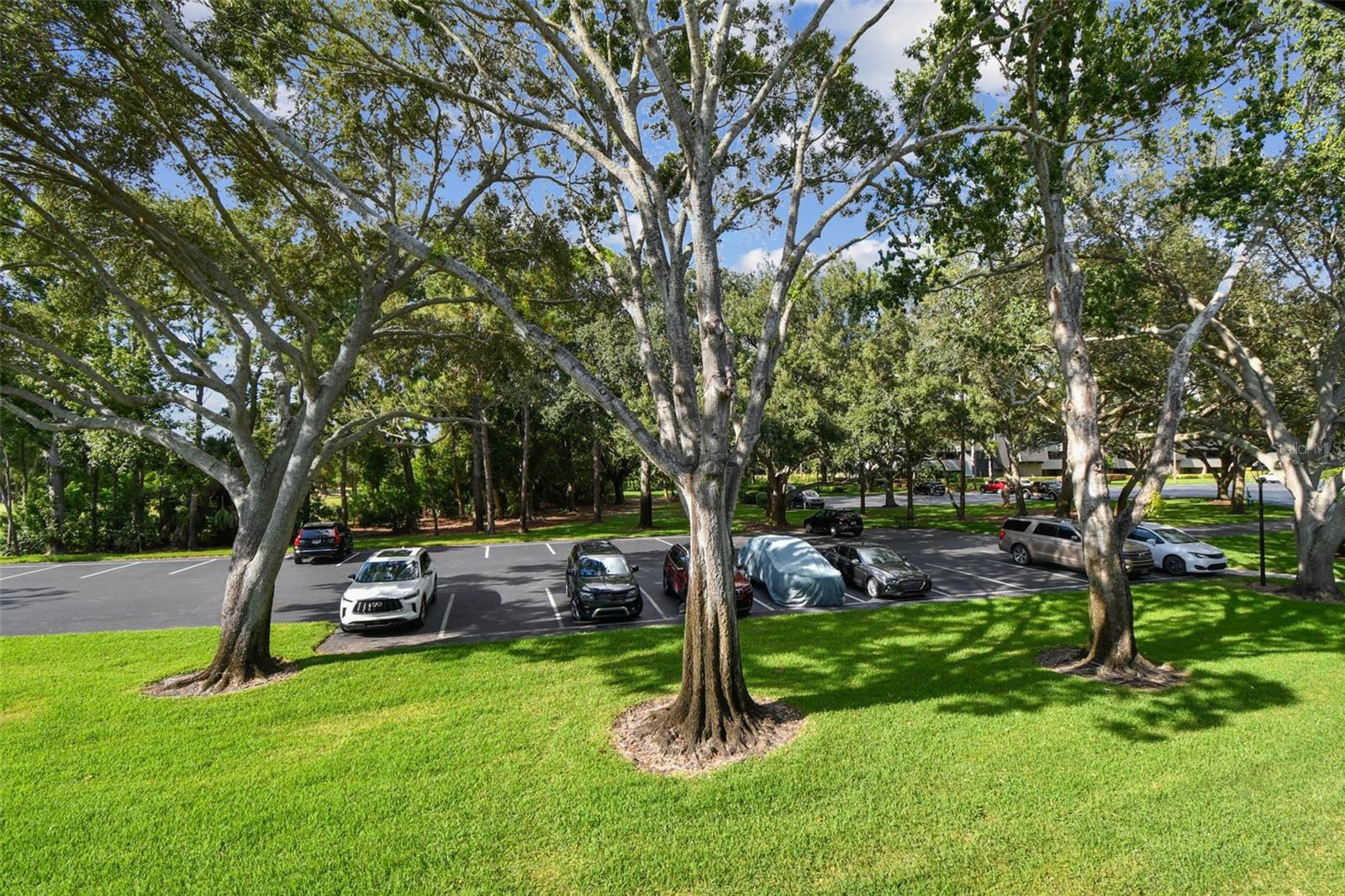 Image 35 of 65 For 36750 Us Highway 19 N 17210