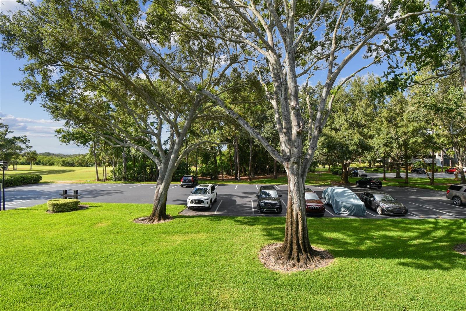 Image 36 of 65 For 36750 Us Highway 19 N 17210