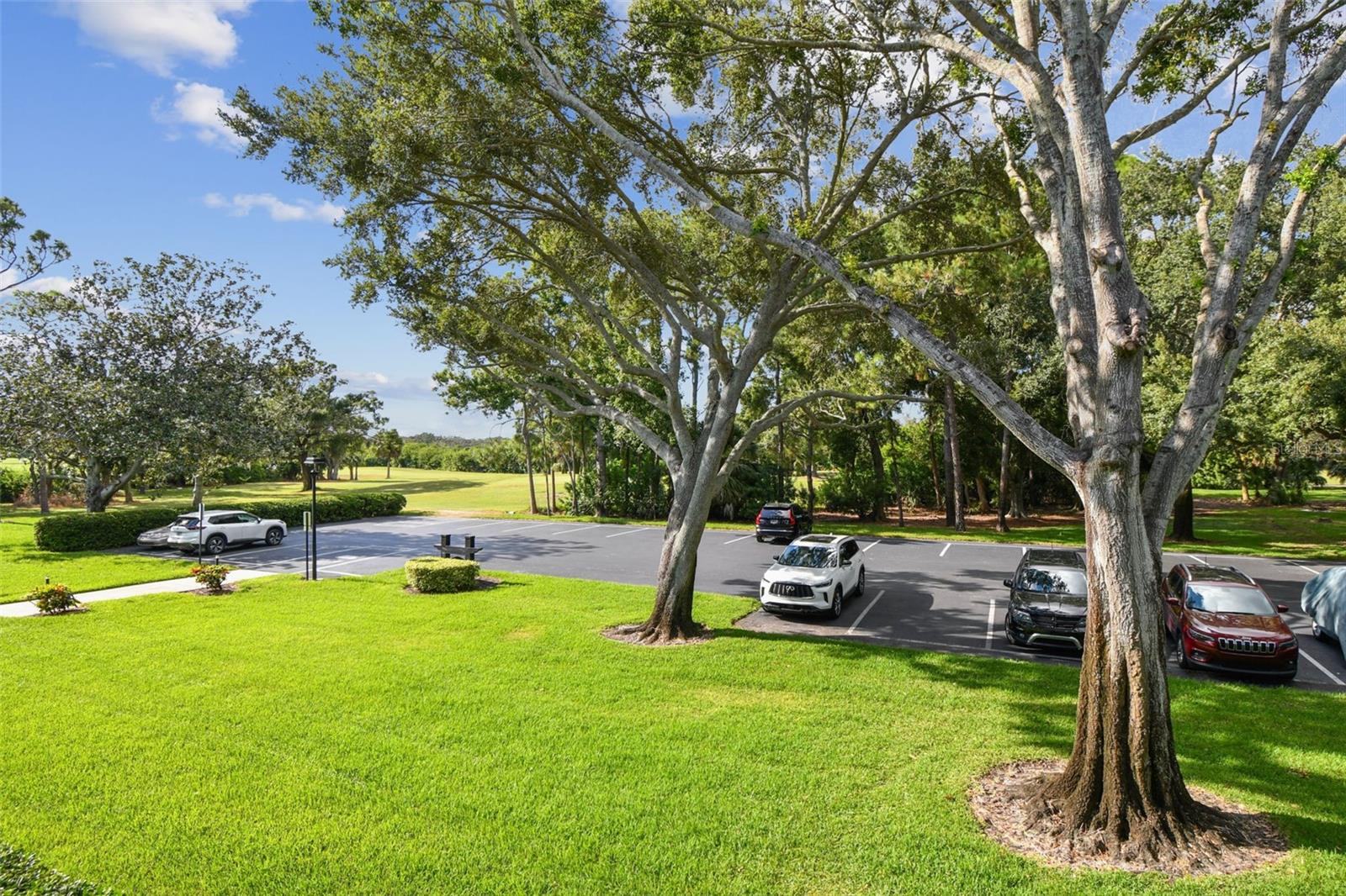 Image 37 of 65 For 36750 Us Highway 19 N 17210