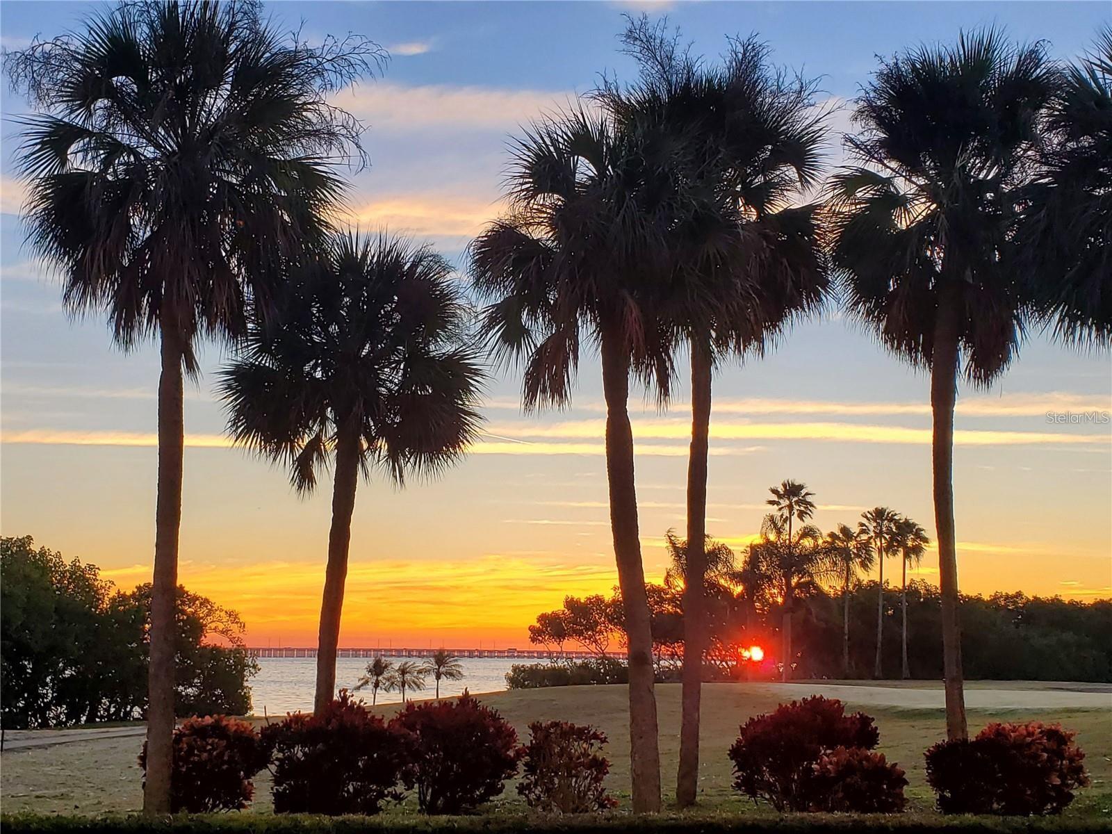 Details for 2616 Cove Cay Drive 102, CLEARWATER, FL 33760