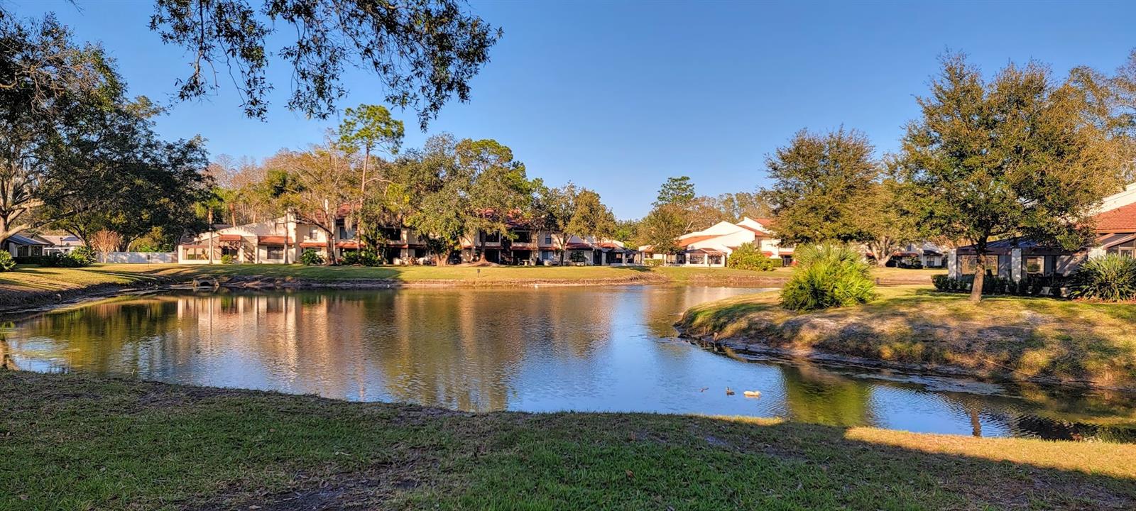 Details for 3505 Tarpon Woods Boulevard P408, PALM HARBOR, FL 34685