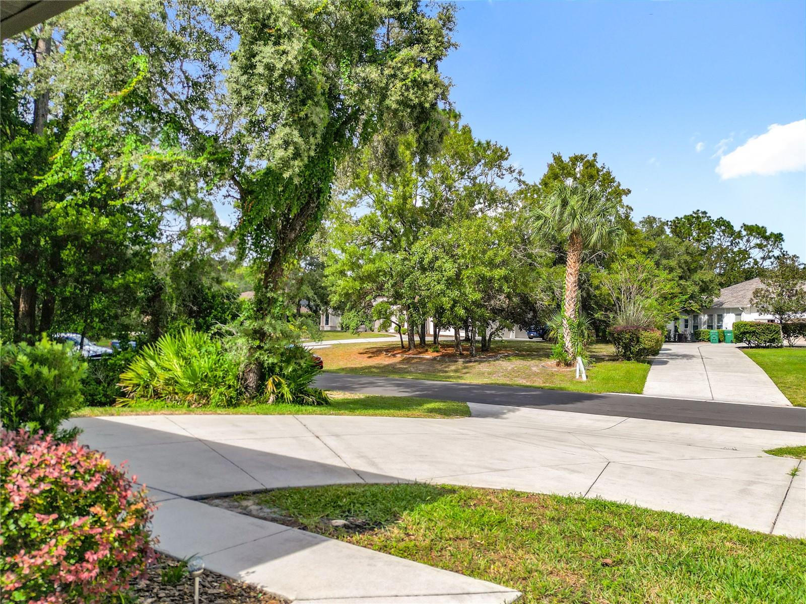 Image 45 of 45 For 8 Deer Court 15