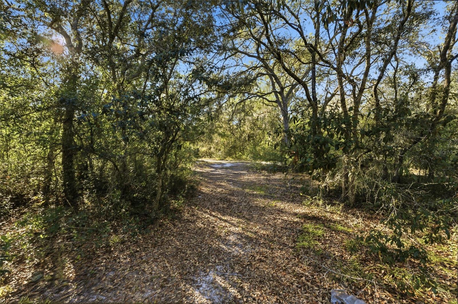 Image 10 of 14 For 7570 Pixie Lane