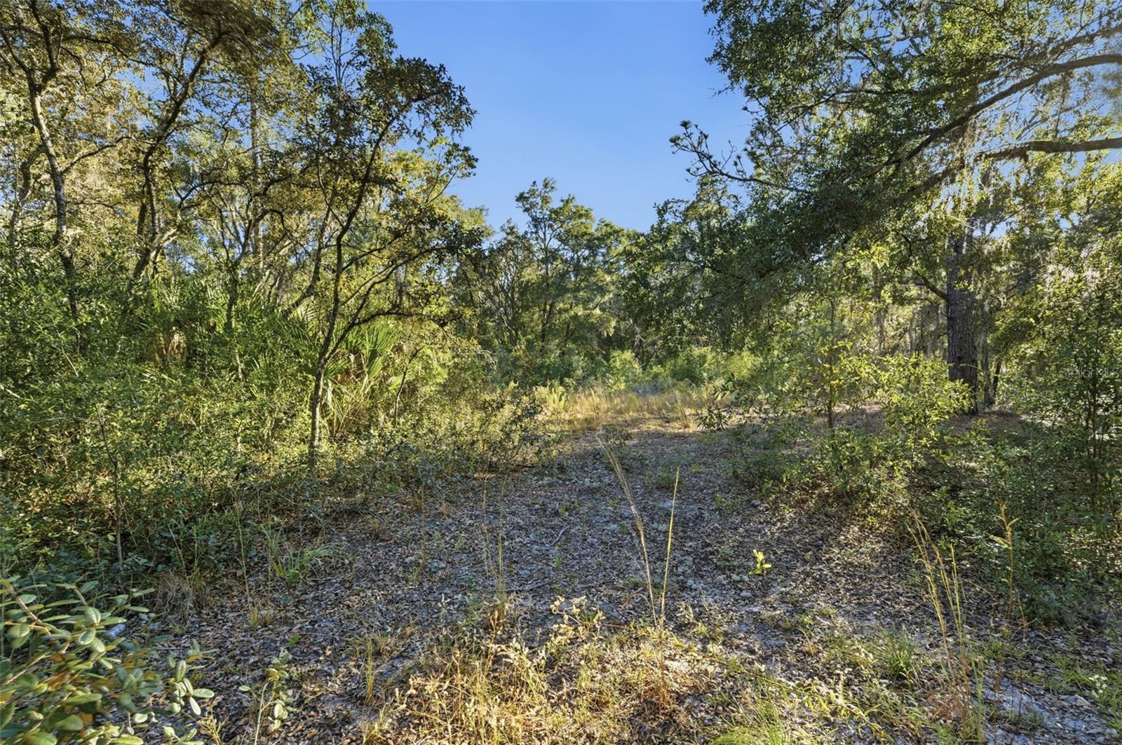 Image 11 of 14 For 7570 Pixie Lane