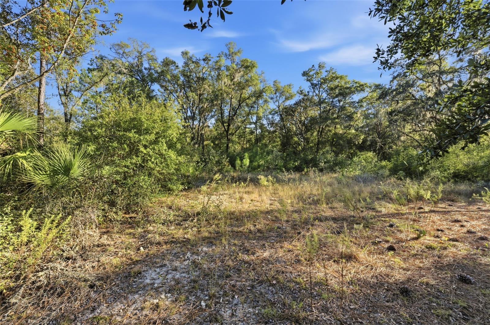 Image 12 of 14 For 7570 Pixie Lane