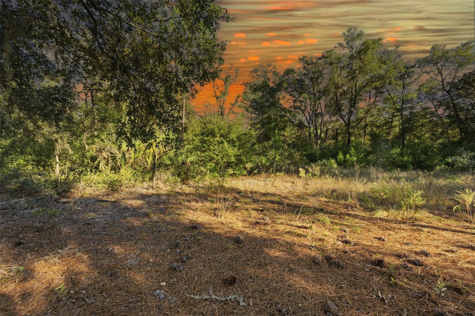 Image 13 of 14 For 7570 Pixie Lane