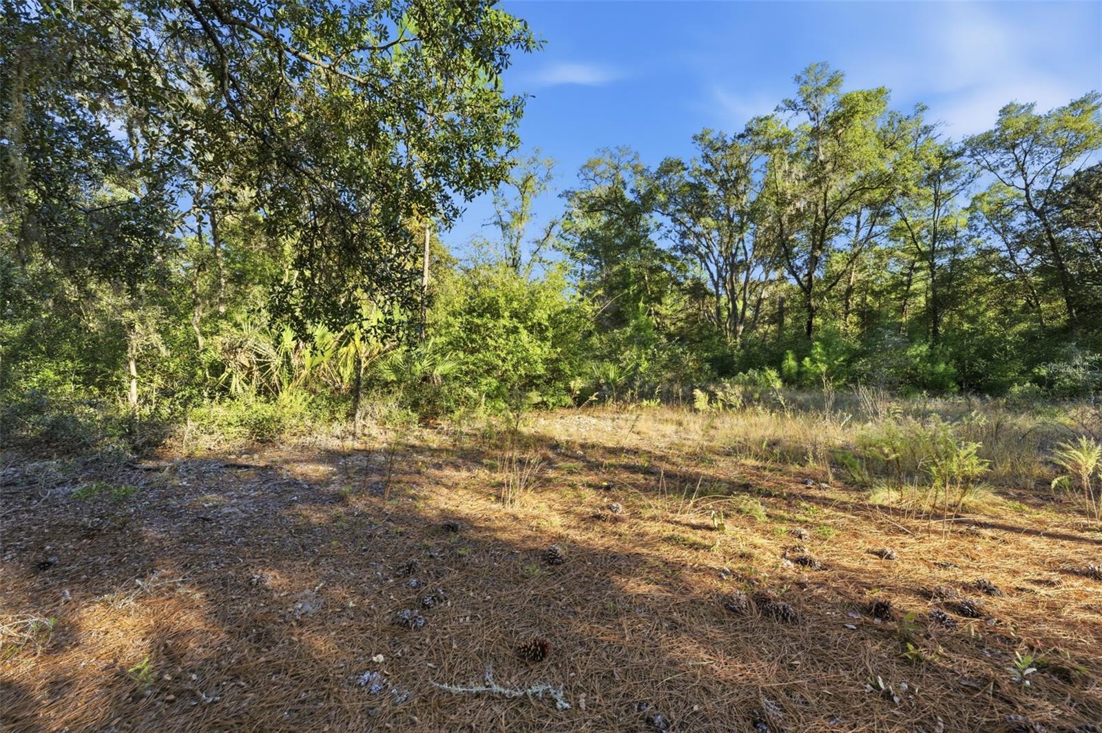 Image 14 of 14 For 7570 Pixie Lane