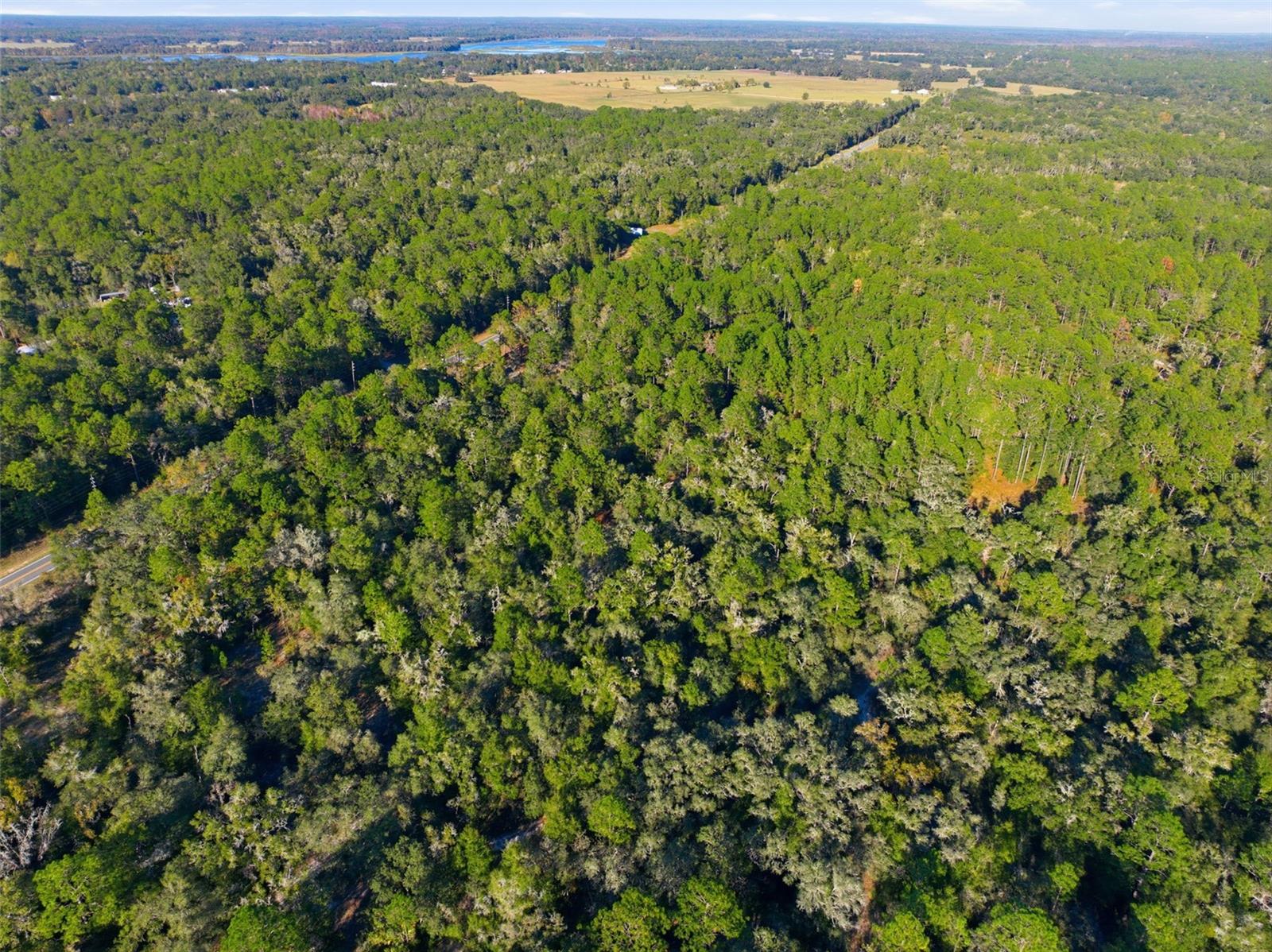 Image 9 of 14 For 7570 Pixie Lane