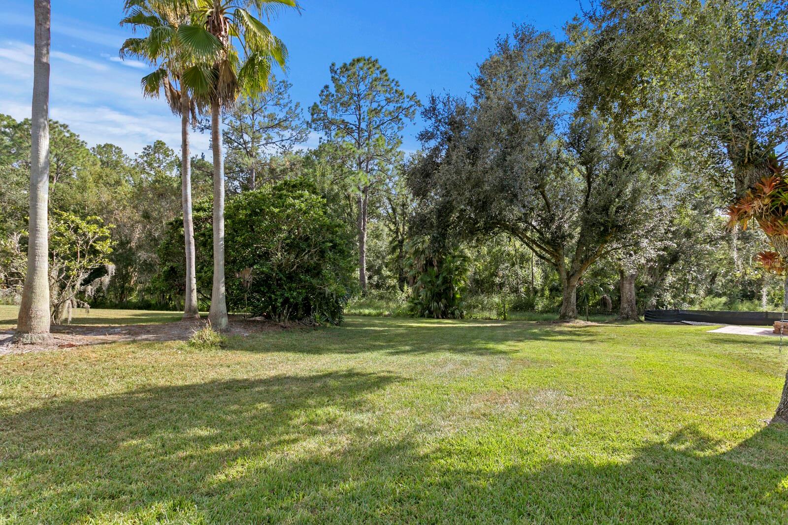Image 4 of 85 For 10506 Cory Lake Drive