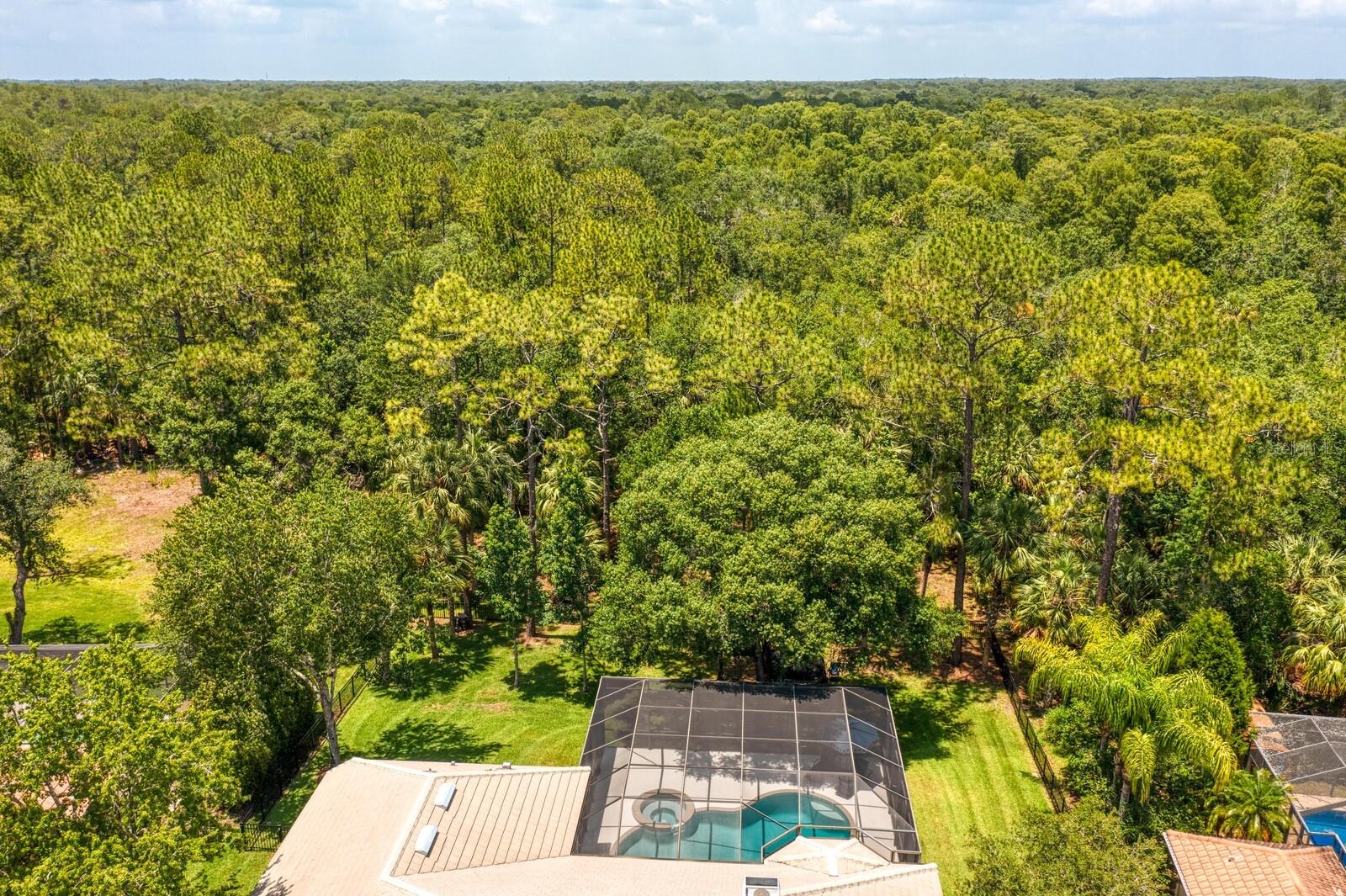 Image 75 of 93 For 16423 Burniston Drive