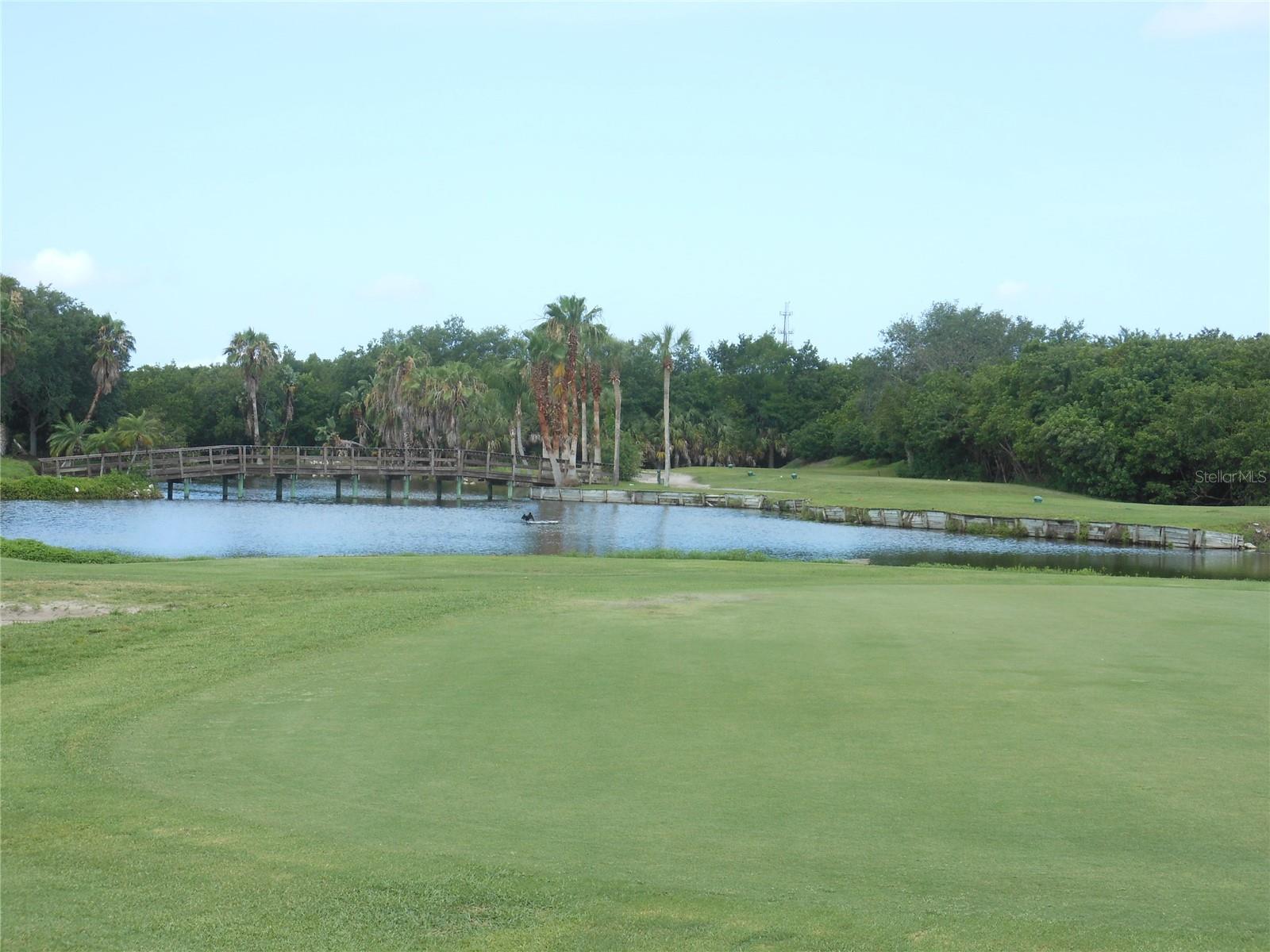 Image 49 of 50 For 2620 Cove Cay Drive 107