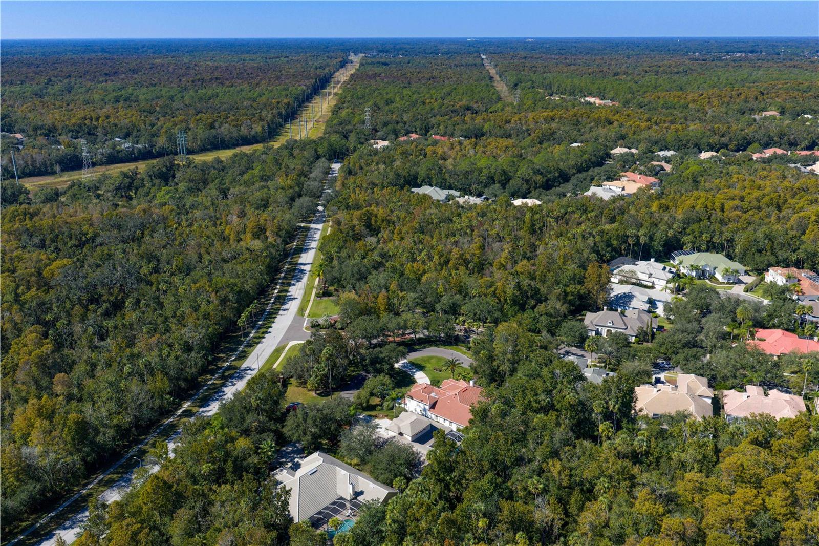 Image 65 of 94 For 16303 Heathrow Drive