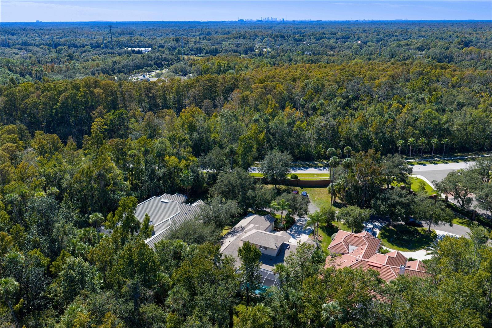 Image 72 of 94 For 16303 Heathrow Drive