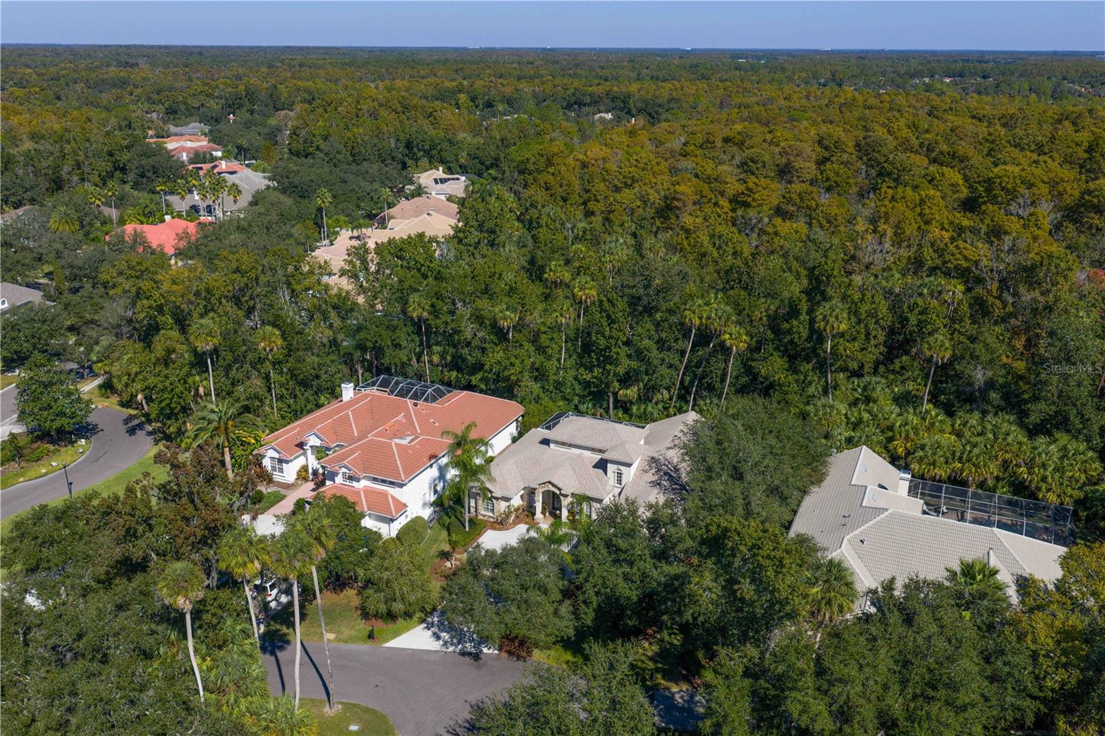 Image 76 of 94 For 16303 Heathrow Drive