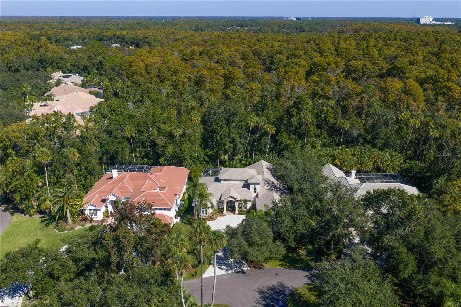 Image 77 of 94 For 16303 Heathrow Drive