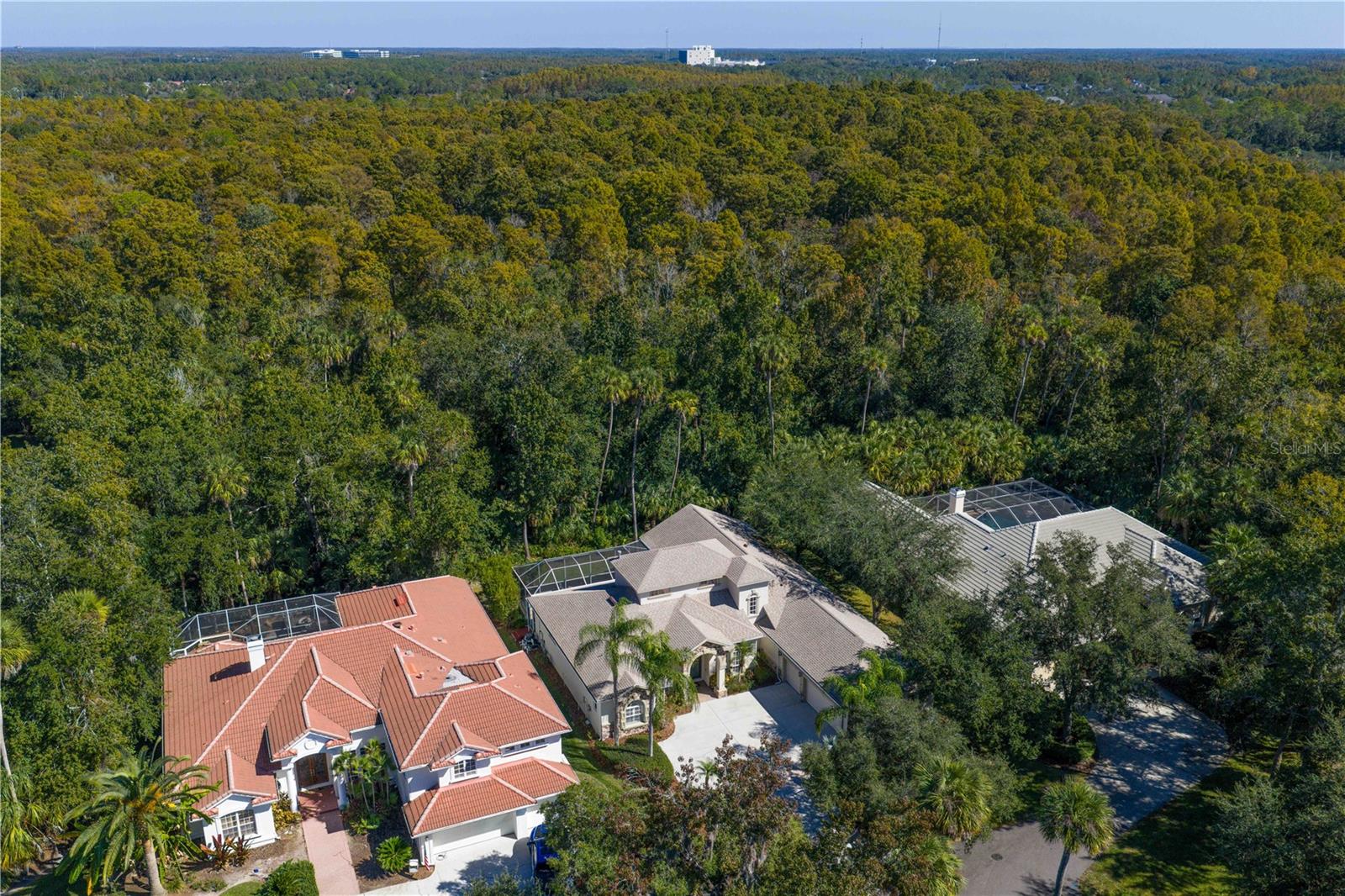 Image 78 of 94 For 16303 Heathrow Drive