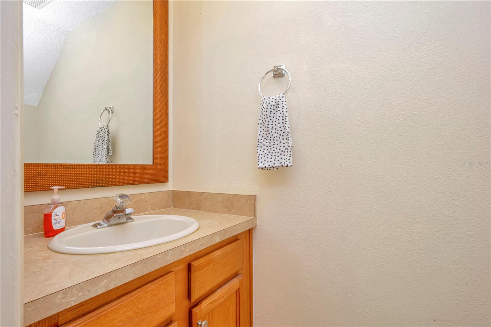 Image 14 of 25 For 16112 Rambling Vine Drive W