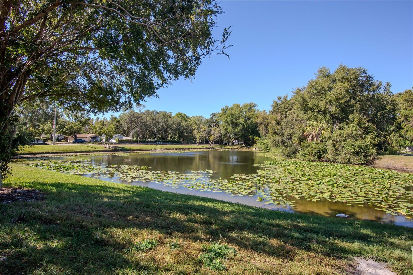 Image 23 of 25 For 16112 Rambling Vine Drive W